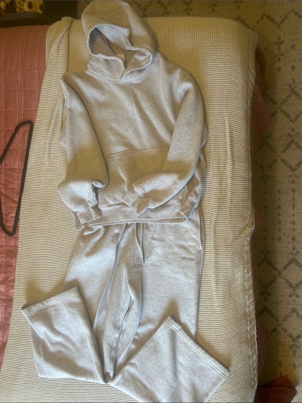 Aritzia Light Gray Hoodie & Sweatpants Set